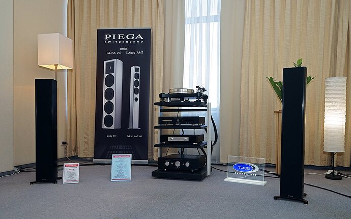 Piega_11.jpg.b61782794a657c1e1862572ad96375b9.jpg