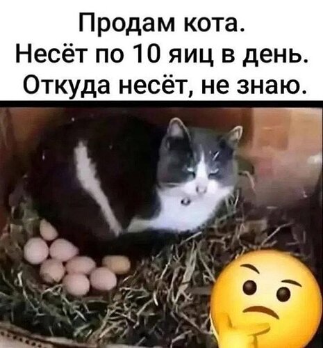 3032028962