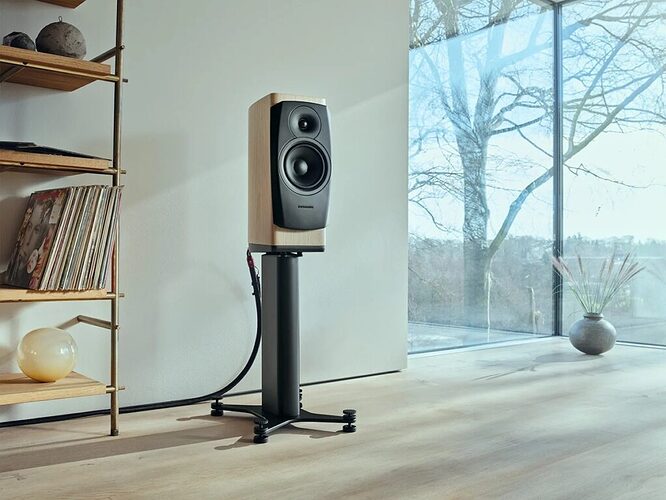 Dynaudio Confidence i. Резистор с допуском вдесятеро жёстче обычного