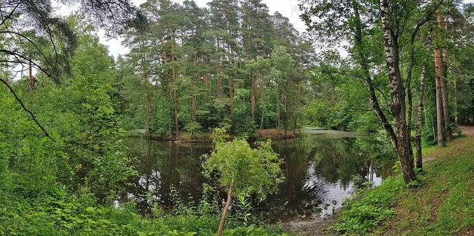 20260705_104924_PANO1.jpg.93ff068926e060609d079e3d08bc1cd5.jpg