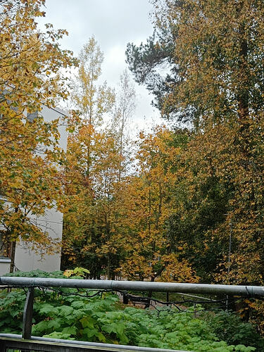 IMG20261002123521