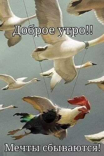 IMG-20220928-WA0000.jpg.59e00a0762293bb3d7d19f0e4acc463f.jpg
