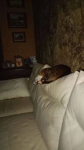 IMG_20260822_110745_691