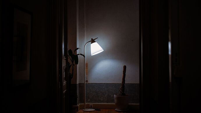 Ferhat Kocakaya / Pexels