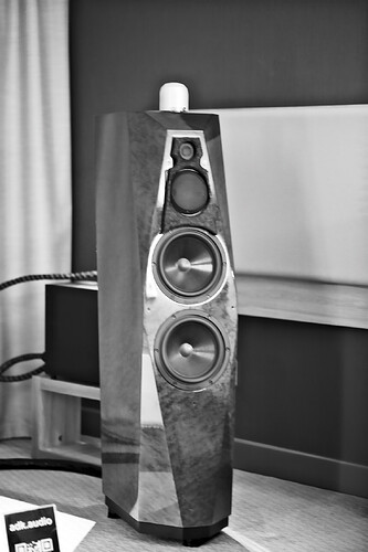 DSCF0178.jpg.242beb9379503e5b0e12da03b8e2a6ea.jpg