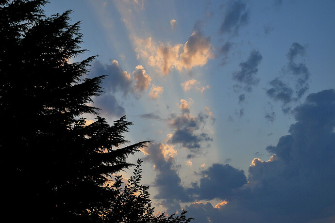 1278206451_P1010707(2).JPG.7c8077d4a0ab876f6ae0b3cc5c7928b9.JPG