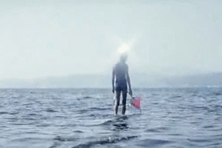 stork_243_16.gif.565da0070726017593305c6d432cb21c.gif