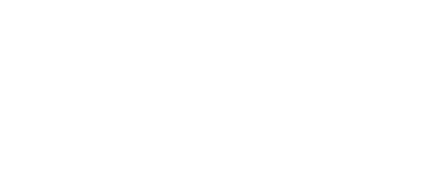 Логотип Cayin