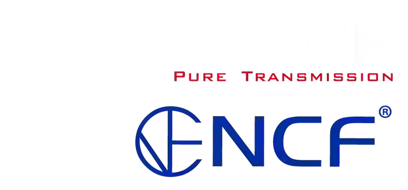 Логотип Furutech