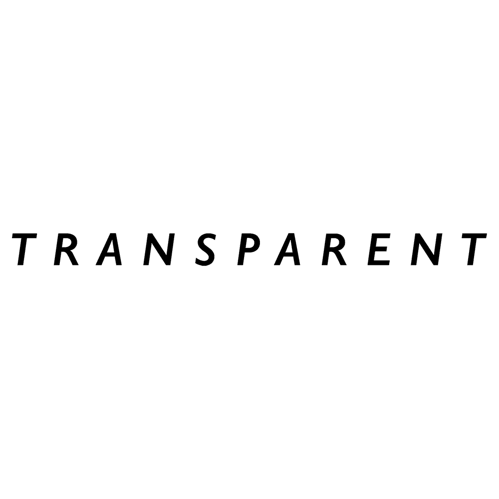 Логотип Transparent Audio