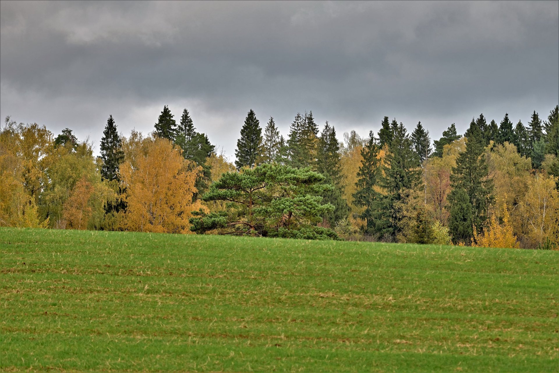_DSC3332.jpg