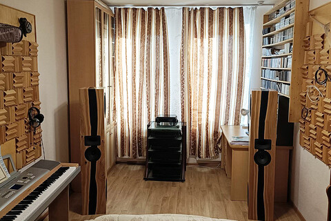 Система Staudio