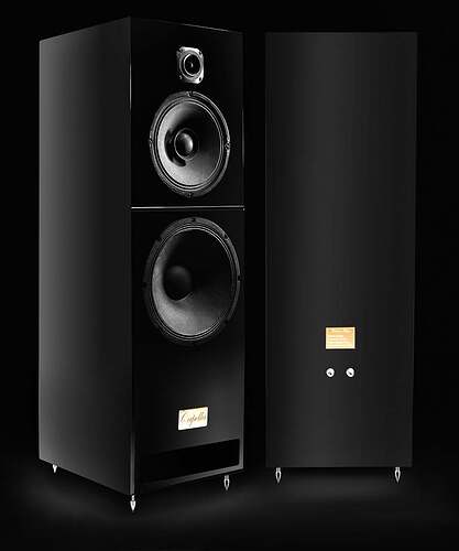 capella-4-s.jpg.b26ab22bbd0de62638ffb9d6d28d411f.jpg