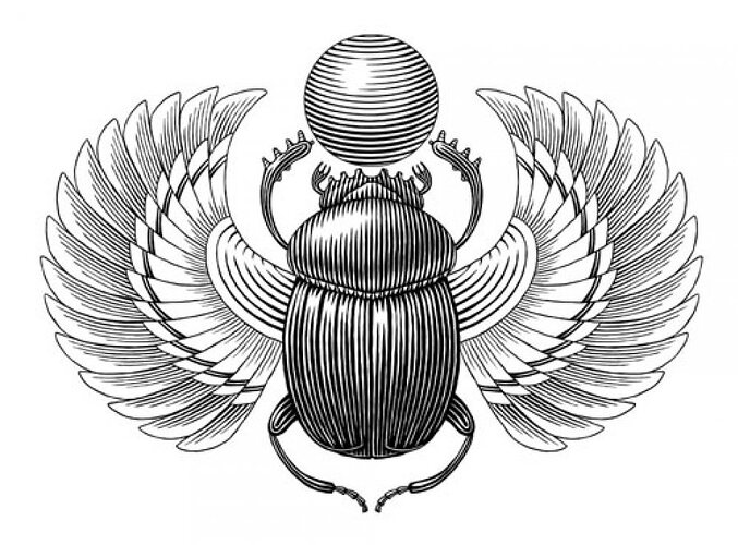 CFE05EC1-6EA0-4483-8146-96A3CE3886FE.jpeg.a5dbfb0699946657fcb85bd6dffb0480.jpeg