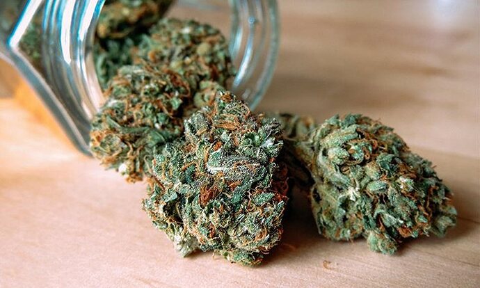 kannabis.jpg.aa7f67631623b01fd54212cb881011f8.jpg