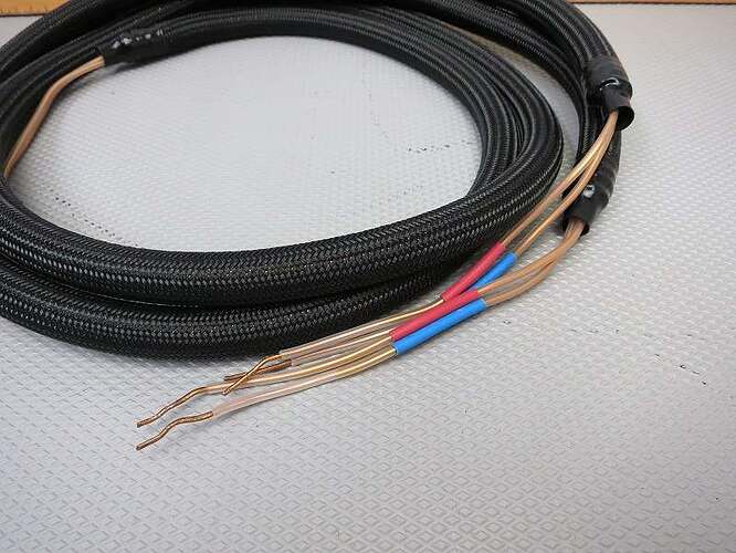 57ac8d6845eda_AcousticReviveSPC.jpg.00f9084d27e742efc56e2e19678ccadb.jpg