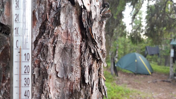 20190624_221729.jpg.bf49384569a2a4fc7c21c6e6525a88db.jpg