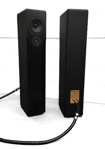 tsibizov_audio_mhes24_vn.png.f0e514b621a8aaca3082676f93404ec1.png