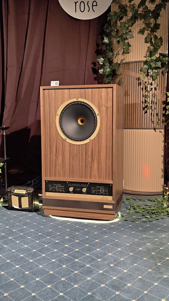 Комната 1005 — Next Hi-Fi: Fyne Vintage Classic Gold XII SP, ламповый Cary и цифра HiFi Rose