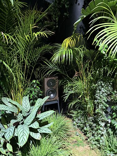 IMG_4901.jpeg.c3c945f06984c0b341b3d16af8625e0b.jpeg