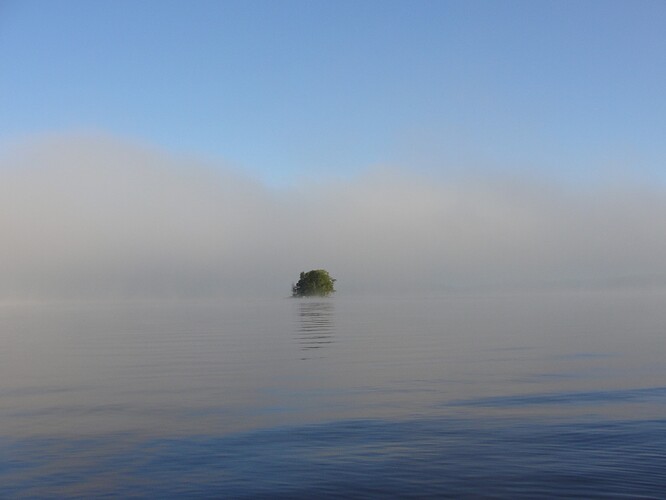 DSC07916.JPG.62707117b35c992912d4b3238603b6f8.JPG