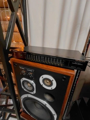 Pioneer, GR 333